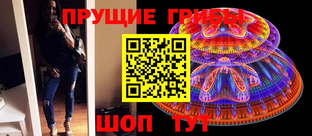 где можно купить наркотик  Вход с VPN  Сорочинск  Псилоцибиновые грибы мицелий  Галлюциногенные грибы мухоморы 