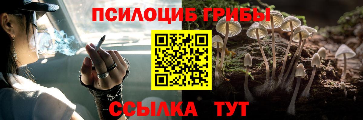 Галлюциногенные грибы Magic Shrooms Сорочинск